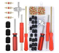 Vesaneae 64 Piezas Herramientas Núcleo Válvula, Herramientas de Extracción de Vástago de Válvula Neumático, Kit de Reparación de Neumáticos, Removedor de Válvula para Automóviles Motocicletas Camiones
