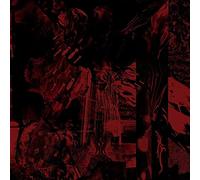 Vessel Of Iniquity - The Doorway [VINYL] [Vinilo]