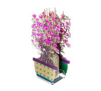 VESTA Ambientador Bonsai Magnolia - Fragancia Favola by Chiara Firenze - Violeta - 100 ml - Cristal acrílico - Elaboración artesanal - Idea regalo - Made in Italy