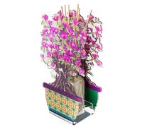 VESTA Ambientador Bonsai Magnolia - Fragancia Favola by Chiara Firenze - Violeta - 200 ml - Cristal acrílico - Elaboración artesanal - Idea regalo - Made in Italy