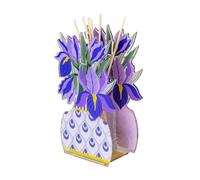 VESTA Ambientador Iris - Fragancia Anima by Chiara Firenze - Violeta - 200 ml - Cristal acrílico - Elaboración artesanal - Idea regalo - Fabricado en Italia