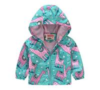 Veste légère pour enfant avec capuche amovible et fermeture éclair, imprimé dinosaure pour garçons et filles de 18 mois à 4 ans, parfaite pour les activités en extérieur au printemps et en automne