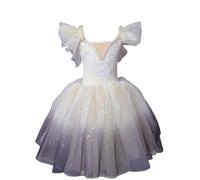 Vestido tutú para actuación de Ballet para niñas, Atuendo de Baile de Escenario para niños Vestido Largo Tul, Disfraces Bailarina la actuación de El Lago de los cisnes,E,130