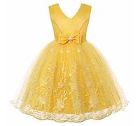 Vestidos de desfile de bodas Falda de princesa bordada Vestido de rendimiento de encaje de encaje Vestido de de Navidad Vestido de dama de honor de encaje de niñas de flores largo (Yellow, 3-4 Years)