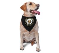 Veteran del 1.Er Grupo De Fuerzas Especiales del Ejército De EE. UU. Mascotas Baberos Lavable Bufanda De Mascota Ajustable Pañuelo Triangular para Cumpleaños Perros Pequeños Y Medianos Boda