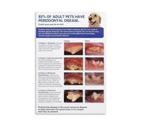 Veterinary Dental Poster Periodontal Disease Stages in Dogs Cats Oral Health Care Guide Educational Wall Art for Clinic Home Decor(Framed,16X24inch(40X60cm))
