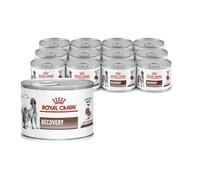 Veterinary Recovery | Mousse para Perros y Gatos | 12 x 195 g | Royal Canin | Alimento dietético completo | Apoyo en la convalecencia
