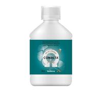 VetNova - Conecta Plus, Solución Oral con Omega-3 (DHA EPA), Vitaminas B, A, D3 y E con Ginkgo Biloba para Perros y Gatos, Ayuda a Preservar la Funcionalidad Cognitiva, Movilidad y Bienestar - 450 ml