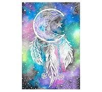 VETPW DIY 5D Diamante Pintura Kit, Pintura por Números, Atrapasueños Bricolaje Diamond Pasted Kit Completo Bordado De Punto De Cruz Diamante Arts Craft por Decoración de la Pared del Hogar (30x40CM)