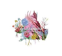 Vetusta Morla - Mismo Sitio, Distinto Lugar