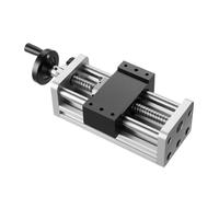 VEVOR Actuador Lineal carrera efectiva de 100 mm, Riel de guía lineal CNC con husillo de bolas, Eje Óptico Doble Alta precisión C7, Bloque Deslizante con Rodamiento, para Eje XYZ de Fresadora CNC