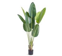 VEVOR Árbol Artificial 1524 mm Planta Artificial PE Palmera Pájaro Paraíso Árbol Verde Falso con Maceta 152x128 mm Decoración de Plantas Falsas para Hogar Oficina Centros Comerciales Interior Exterior