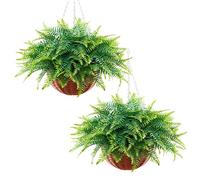 VEVOR Helechos Artificiales Paquete de 2, Helechos de Boston Artificiales Colgantes Longitud de 584,2 mm, Hojas de Seda y LDPE con Maceta para Interior y Exterior Decoración Jardín Balcón Hogar Porche