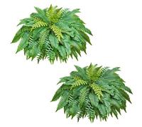 VEVOR Helechos Artificiales Paquete de 2, Helechos de Boston Artificiales Diámetro de 1143 mm con 63 Frondas Hojas de Seda y LDPE para Maceta Decoración Jardín Balcón Porche Hogar Interior y Exterior