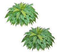 VEVOR Helechos Artificiales Paquete de 2, Helechos de Boston Artificiales Diámetro de 1143 mm con 63 Frondas Hojas de Seda y LDPE para Maceta Decoración Jardín Balcón Porche Hogar Interior y Exterior