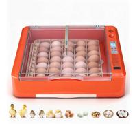 VEVOR Incubadora de 36 Huevos, Volteadora Automática con Indicador LED y Bandeja de Agua, Control de Temperatura y Humedad, Ventana Transparente 360°, para Pollitos, Patos, Gansos y Codornices