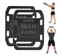VEVOR Mochilas de hierro fundido para mochila, disco de pesas con mango liso, procesamiento estructurado para tirar, senderismo, columpio, entrenamiento de fuerza, levantamiento de pesas