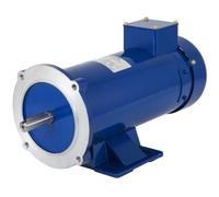 VEVOR Motor CC Motor de imán permanente de 1 HP Velocidad nominal 1750 RPM Motor eléctrico de 12 V Carcasa de acero Fácil de instalar para pelador de alambre, empacadora, cortador de papel