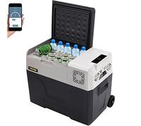 VEVOR Nevera Termoeléctrica Portátil 30 L Nevera de Viaje para Coche Nevera Portátil Eléctrica de Viaje para Coche Mini Refrigerador para Coche Mini Nevera para Bebidas con LCD