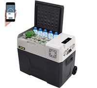VEVOR Mini Nevera Termoeléctrica Portátil 30/40/50 L de Viaje para Eléctrica. Refrigerador para Coche para Bebidas con LCD (40L)