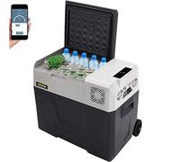 VEVOR Nevera Termoeléctrica Portátil 50 L Nevera de Viaje para Coche Nevera Portátil Eléctrica de Viaje para Coche Mini Refrigerador para Coche Mini Nevera para Bebidas con LCD
