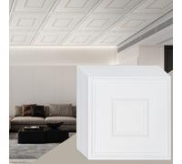 VEVOR Paneles para Techo Suspendido, Paquete de 12, Láminas de PVC de Primera Calidad, Fácil Instalación/Corte, Plástico, para Decoración del Hogar/Oficina, Diseño Geométrico Blanco, 605 x 605 mm