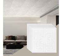 VEVOR Paneles para Techo Suspendidos, Paquete de 12, Láminas de PVC de Primera Calidad, Fácil Instalación/Corte, Plástico, para Decoración del Hogar/Oficina, Patrón de Eco Blanco, 605 x 605 mm