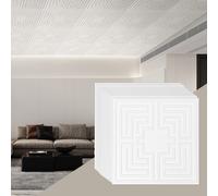 VEVOR Paneles para Techo Suspendidos, Paquete de 12, Láminas de PVC de Primera Calidad, Fácil Instalación/Corte, Plástico, para Decoración del Hogar/Oficina, Patrón de Eco Blanco, 605 x 605 mm