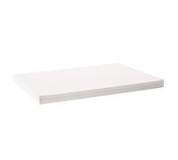 VEVOR Papel de Filtro para Freidora 100 Hojas 653 x 430 mm Hojas de Filtro de Repuesto para Freidora Comercial de 55 L para Restaurante, Tienda de Comida Rápida, Puesto de Concesión de Carnaval