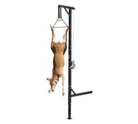 VEVOR Polipasto de Enganche para Camión, Carga 181,4 kg, Grúa para Caza de Ciervos con Receptor de 5 cm, Eje Giratorio de 360° y Altura Ajustable, Incluye Cabrestante para Desollar y Limpiar la Presa
