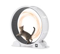 VEVOR Rueda de Ejercicio para Gatos de 1150 x 395 x 1090 mm, Rueda para Correr para Gatos con Freno y Pista Alfombrada, Podómetro, Cinta de Correr Silenciosa para Gatos de Menos de 13,6 kg, Blanco