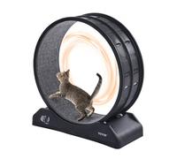 VEVOR Cinta de Correr Silenciosa para Mascotas de 800 x 340 x 850 mm, Negro