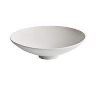 VEXDOSLE Plato llano Plato de pastelería Plato de postre Ensaladera Plato de servir Bandeja Plato de ensalada de porcelana blanca de 10 pulgadas Vajilla Platos de mesa(B)