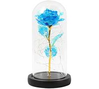 VFdthR Rosa De Cristal Rosa de Cristal, Rosa eterna encantada con Luces Hadas en cúpula for Regalo Navidad y San Valentín(C02)