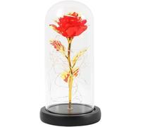 VFdthR Rosa De Cristal Rosa de Cristal, Rosa eterna encantada, Flor lámina Oro 24 Quilates con Cadena Luces Hadas en cúpula for Regalo Navidad y San Valentín(C03)