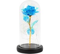 VFdthR Rosa De Cristal Rosa de Cristal, Rosa eterna encantada, Flor lámina Oro 24 Quilates con Cadena Luces Hadas en cúpula for Regalo Navidad y San Valentín(C02)