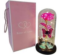 VFdthR Rosa De Cristal Rosa de Cristal, Rosa for Siempre, Regalo del día San Valentín for Novia, eterna, Flor lámina luz en Cubierta Vidrio, favores Boda for Madres, Dama Honor(Pink)