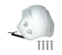 VFEBTSD Parabrisas delantero de carenado compatible con BMW R 9 T NineT Pure/Scrambler 2016-2023 de aluminio (1 juego plateado)