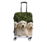 VFMKT Golden Retriever Puppies Funda de equipaje de viaje, elástica, lavable, a prueba de polvo, antiarañazos, para equipaje de 19 a 32 pulgadas, Estilo, M