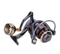 VGEBY - Carrete de pesca, serie SW Carrete de pesca sobre roca, en mar, carrete de en mar de larga distancia (SW2000