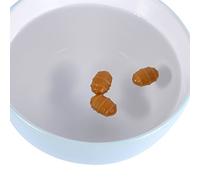 VGEBY Cebo de Pesca, Cebos de Carpa Emergentes de Chufa de Plástico 1,1 X,8 Cm, Pellets Artificiales Flotantes Suaves e Inodoros para Pesca en la Playa en Estanques de Embalses de Ríos y Lagos