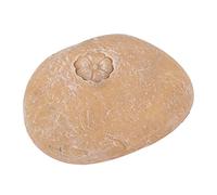 VGEBY Marcador de Tumba de Perro Al Aire Libre de Resina de Piedra Conmemorativa de Mascota Personalizado para Corazones Rotos (#1)
