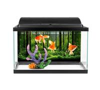VGEBY Póster de Tanque de Peces de PVC, Decoración Impermeable (61 * 30CM) | Autoadhesivo, Durable, Fácil de limpiar, Colores brillantes, Material espesado, Fondo para acuario
