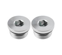 VGOL 2 Tapones de Acero UNF Galvanizados de 3/4"-16 UNF con Sello de Goma para Aplicaciones de Baja Y Alta Presión