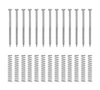 VGOL Juego de 20 tornillos de montaje para pastilla, kit de muelles para guitarra eléctrica, instrumentos musicales, accesorios de repuesto, color plateado