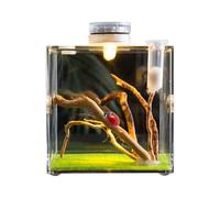 Vgvgaj Hábitat reptil jaula pequeña reptile jaula clara animal embarazada caja de araña saltando acrílico transparente de 360 grados para lagartos para mascotas