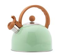 VGVSBG Tetera con silbido Hervidor de té de Acero Inoxidable Hervidor de té Mango de Silicona Hemisférico Verde 2.5L Tetera con silbido para Cocina