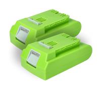 vhbw 2X batería Compatible con Greenworks G24PS20K2, G24PS20, G24PH51, G24 Sweeper Herramienta (2000 mAh, Li-Ion, 24 V)