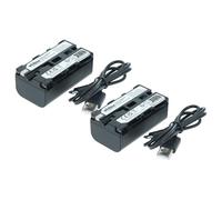 vhbw 2X batería Compatible con Grundig LC-D300HE, LC-D200HE, SCENOS LCD6000HE, LIVANCE LC1000VC cámara (2000 mAh, 7,4 V, Li-Ion)