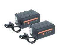 vhbw 2X batería Compatible con Grundig XEPHIA LC5000HE, XEPHIA LC3000HE cámara (4000 mAh, 7,4 V, Li-Ion)